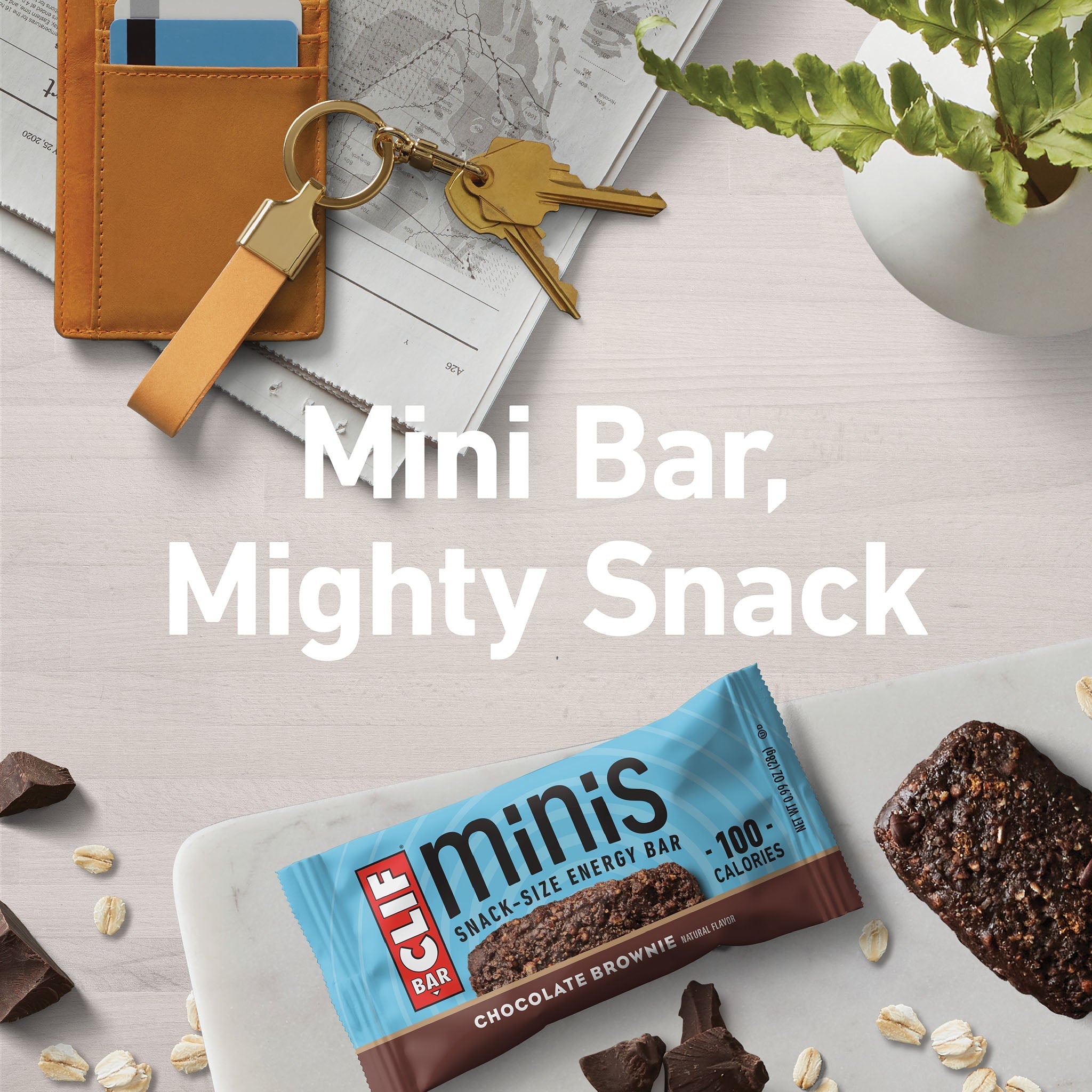 Chocolate Brownie Flavor Minis B9
