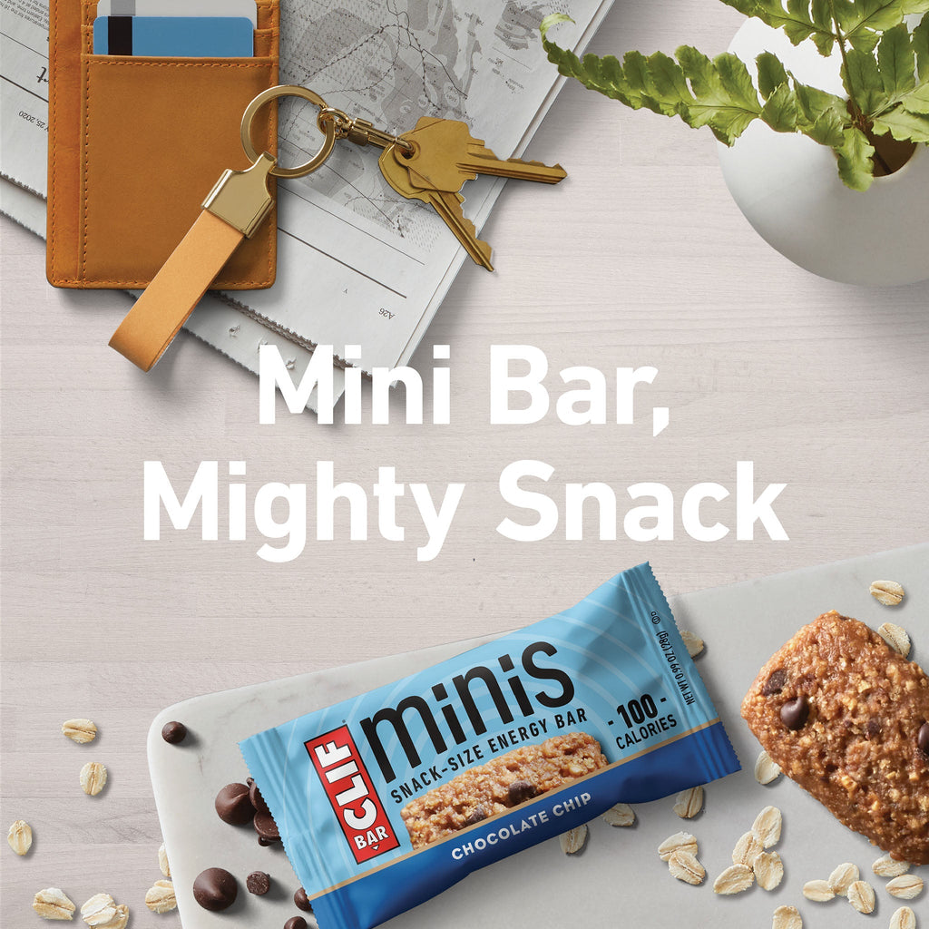 Chocolate Chip Minis W4