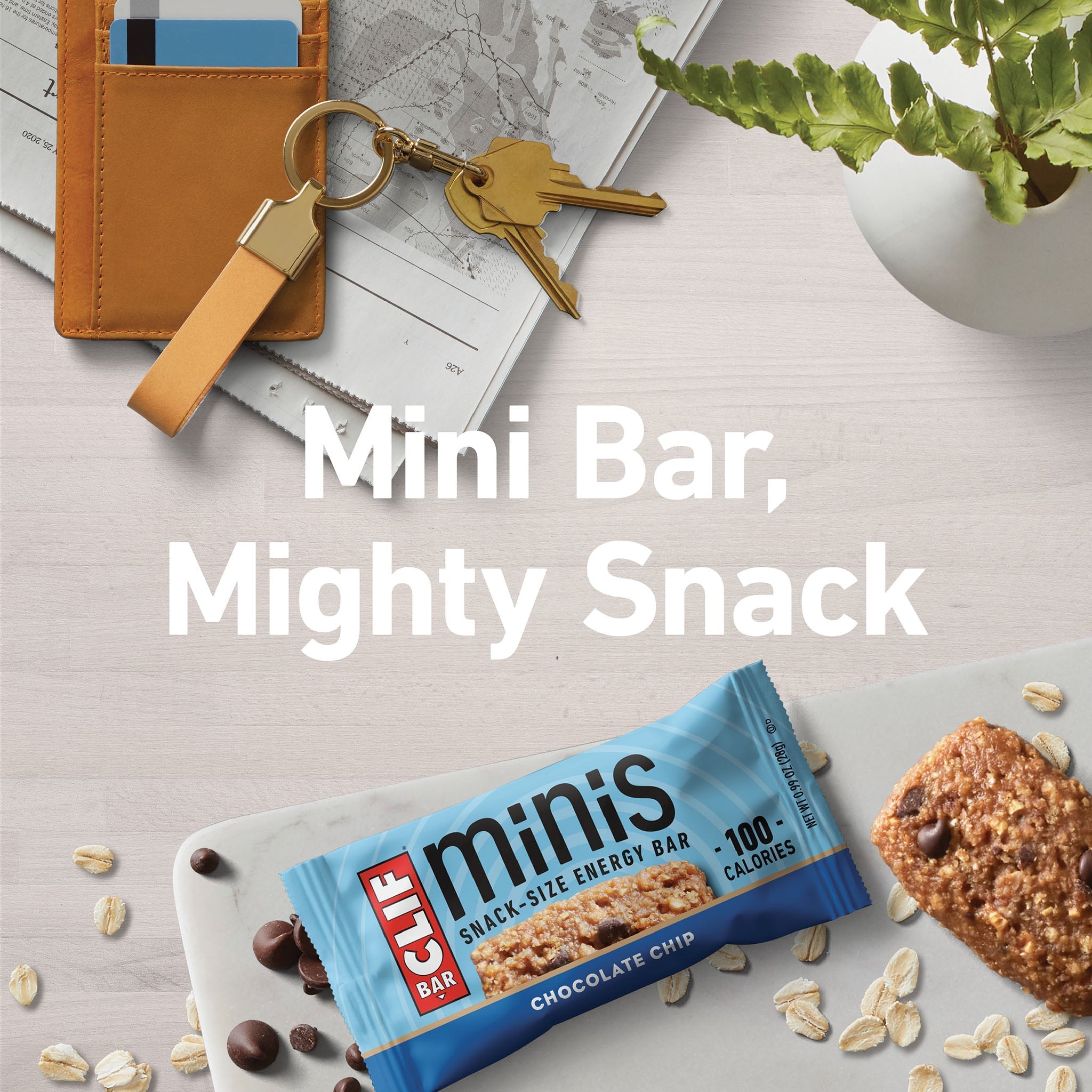 Chocolate Chip Minis W4