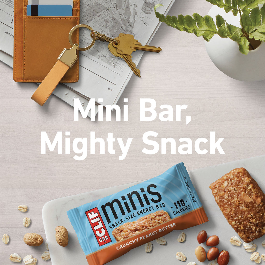 Crunchy Peanut Butter Minis I3