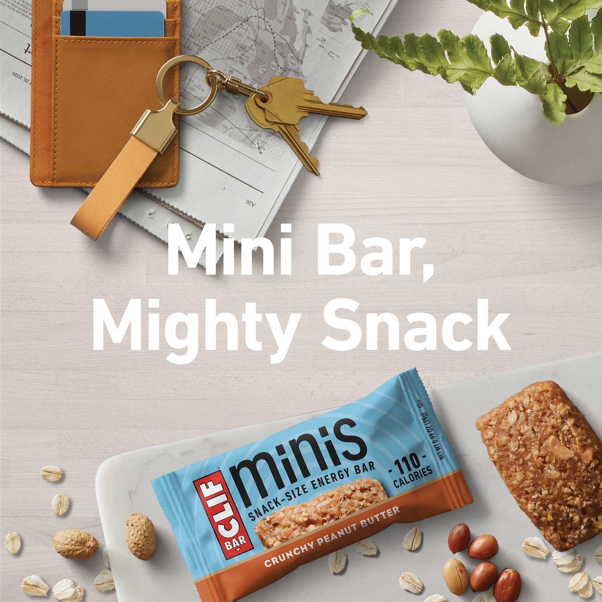 Crunchy Peanut Butter Minis I3